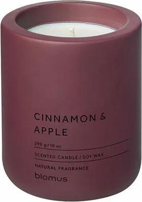 Produktbild von Blomus Duftkerze Fraga, Raumduft, Beton, Port, Duft Cinnamon & Apple, 66453
