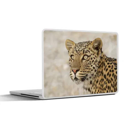 Produktbild von MuchoWow® Laptop Aufkleber Sticker Cover Leopard - Makro - Braun 31x22.5 cm - Laptop-Deko