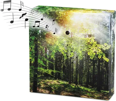 Produktbild von Vogelgezwitscher Soundbox mit Waldgeräuschen - 12 cm - Lautsprecher mit Vogelgesang und Waldkulisse