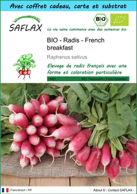 Image de SAFLAX Ensemble-cadeau -- Radis - French breakfast - 150 graines - Raphanus