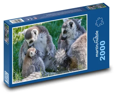 Obrázok produktu pre Puzzle 2000 Lemuria rodina s mláďaťom - martinpuzzle