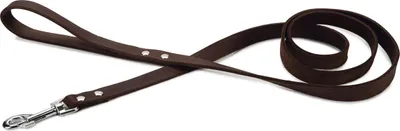 Produktbild von Beeztees 736386, Hund, Standardleine, Braun, Band, Einfarbig, Leder