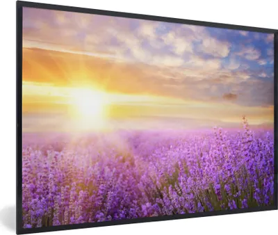 Produktbild von MuchoWow® Gerahmtes Poster Lavendel - Sonne - Himmel - Natur 90x60 cm - Poster mit Schwarzem Bilderrahmen Wandposter Rahmen Foto Bilder - Fotorahmen - Foto-Plakat