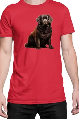 Immagine prodotto di Maglietta da uomo Dogs Breeds Newfoundland Dog Breed 005, Man L , Rouge