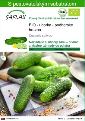 Obrázok produktu pre SAFLAX - BIO - uhorka - podhorské hrozno - Cucumis sativus - 15 Semená - S pestovateľským substrátom bez klíčkov