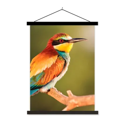 Produktbild von MuchoWow® Textilposter Vögel - Bienenfresser - Regenbogen - Tiere 90x120 cm mit schwarzem Rahmen - Dekoration
