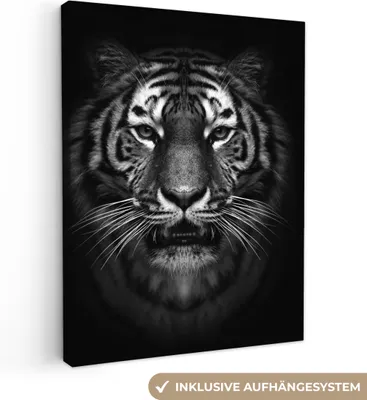 Obrázek produktu pro OneMillionCanvasses® - Plátna - Tygr - Zvířata - Černá - Bílá - Portrét - Divoký, Nástěnné umění, Nástěnné dekorace Obývací pokoj, 60x80cm