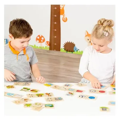 Obrázek produktu pro Beleduc Cognito Shapes