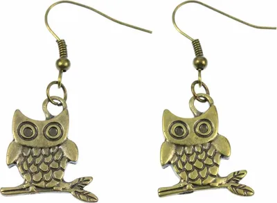 Produktbild von Eule Ohrringe Eulenohrringe Miniblings Ohrhänger Uhu Kauz Vogel mit Ast Bronze