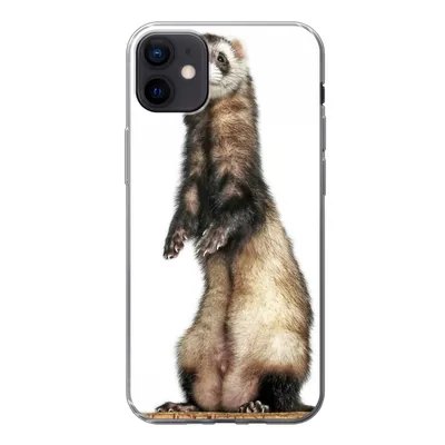 Produktbild von MuchoWow® Handyhülle Schutzhülle Hülle für iPhone 12 mini Frettchen - Tiere - Fell Silikon Softcase Handy Hülle - Bild