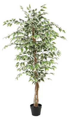Productafbeelding van Kunstplant Ficus groen 160 cm