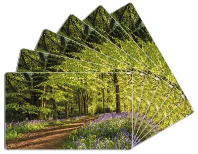 Produktbild von Wallario Frühstücksbrettchen 6er Set aus Glas, je 14 x 23 cm, mit rutschfesten Füßen, Motiv Blaues Hasenglöckchen im Sommerwald