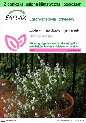 Zdjęcie produktu dla SAFLAX - Garden to go - Zioła - Prawdziwy Tymianek - 200 Nasiona - Z doniczką, pokrywą klimatyczną i podłożem do uprawy - Thymus vulgaris