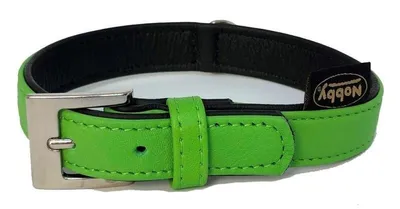 Obrázok produktu pre Nobby 78142-35, Pes, Štandardný obojok, Zelená, Jednofarebné, S, 1,7 cm