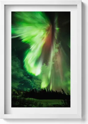 Produktbild von Grüne Polarlichter über dem Wald– Wandbild mit Rahmen – Gerahmtes Bild  – Wanddekoration – 40x60 cm – Weiß