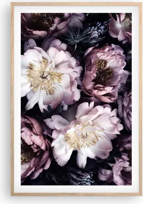 Produktbild von Gerahmtes Poster - Rahmen in heller Eiche - Pfingstrosen Veilchen Blumen - 61x91,5 cm - Wand Bild - Wanddeko - Wandbilder - Kunstposter - Wandposter - Bilderrahmen - Bilder - P2NPA61x91-5076