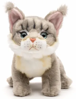 Produktbild von Uni-Toys - Maine-Coon-Katze, sitzend (grau) - 18 cm (Höhe) - Plüsch-Katze - Plüschtier, Kuscheltier – Grau (18 Cm)