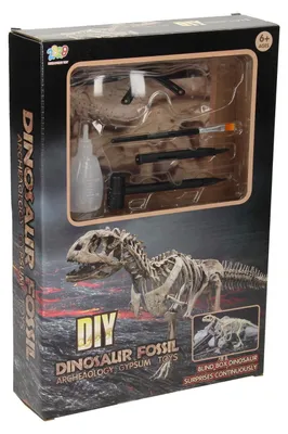 Produktbild von Dinosaurierfossilien ausgraben