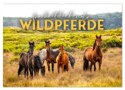 Produktbild von Freiheitsliebende Wildpferde (Wandkalender 2027 DIN A2 quer), CALVENDO Monatskalender