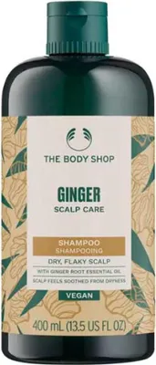 Produktbild von INGWER-Shampoo 400 ml