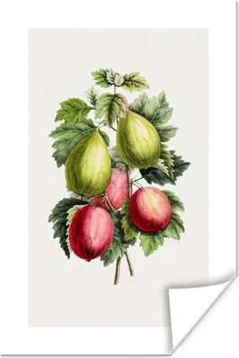 Produktbild von MuchoWow® Poster Lebensmittel - Feigen - Pflanze 80x120 cm - Papierdruck
