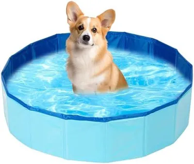 Produktbild von Hunde & Katze Pool, Faltbarer Pool für Hund und Katze, Mini Pool für Katzen Hunde, Planschbecken für Katzen Hundebadewanne, Hund Schwimmbecken Tragbare(50 x 10cm)