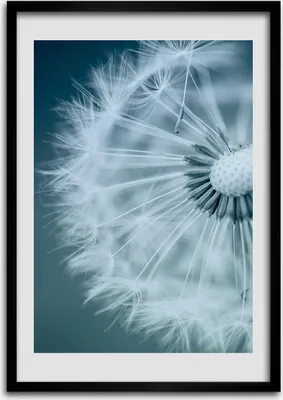 Produktbild von Bild - Bilderrahmen - Foto - 70 cm x 100 cm - MDF - Rahmen - Wandkunst - Löwenzahn