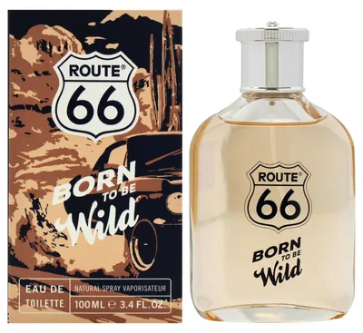 Immagine prodotto di Route 66 BORN TO BE WILD Eau de Toilette Spray 100 ml