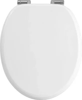 A top-down view of a closed white toilet seat with silver hinges.