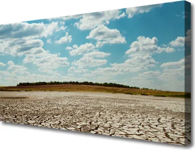 Imagen del producto de Cuadros decorativos para pared, lienzo, 100x50 cm, impresión artística, paisaje desértico