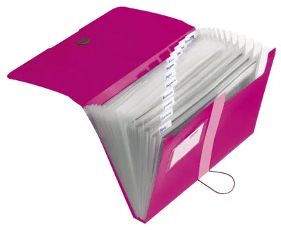 Immagine prodotto di Herlitz Fächermappe    A4 PP beere      12 Fächer m.Gummizug