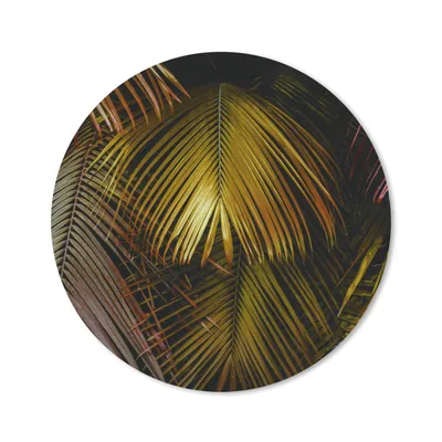 Produktbild von MuchoWow® Mauspad Mousepad Dschungel - Palme - Gold 50x50 cm - Mousepads - Maus Mat - Pad - Mausunterlage - Vinyl