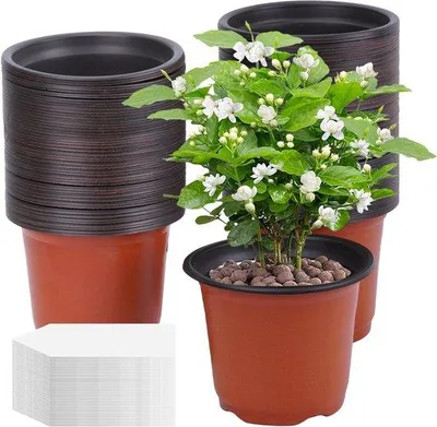 Image de Pots de fleurs en plastique de 10 cm, lot de 100 avec étiquettes