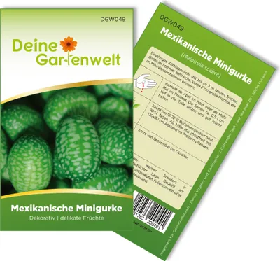 Produktbild von Mexikanische Minigurke  Samen - Melothria scabra - Minigurkensamen - Gemüsesamen - Saatgut für 10 Pflanzen