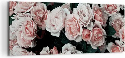 Produktbild von Bild auf Leinwand - Leinwandbild - Einteilig - Rosen Blumen Blätter - 100x40cm - Wand Bild - Wanddeko - Wandbilder - Leinwanddruck - Bilder - Wanddekoration - Leinwand bilder - AB100x40-4760