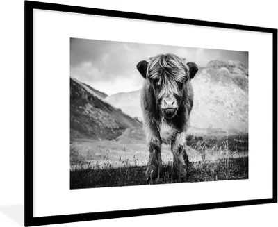Produktbild von MuchoWow® MuchoWow® Gerahmtes Poster Schottisches Hochlandrind - Berg - Schwarz - Weiß 90x60 cm - Poster mit zchwarzem Bilderrahmen - Wanddekoration - Fotos