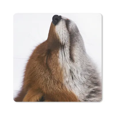 Produktbild von MuchoWow® Mauspad Mousepad Fuchs - Nase - Weiß 30x30 cm - Mousepads - Maus Mat - Pad - Mausunterlage - Gaming