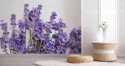 Produktbild von Fototapete Vlies Tapete schöne Lavendel Blumen Natur  315 cm (B) x 210 cm (H) Wandbild Wanddeko