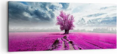 Produktbild von Bild auf Leinwand - Leinwandbild - Heidefeld Baum Wolken Landschaft - 100x40cm - Wand Bild - Wanddeko - Leinwanddruck - Bilder - Kunstdruck - Leinwand bilder - Wandkunst - AB100x40-2547