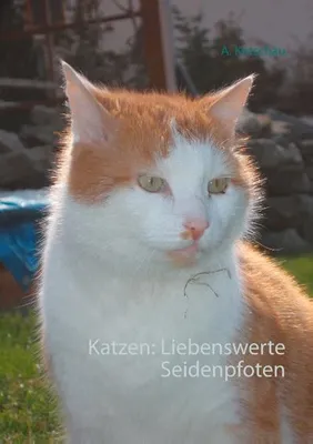 Immagine prodotto di Katzen: Liebenswerte Seidenpfoten