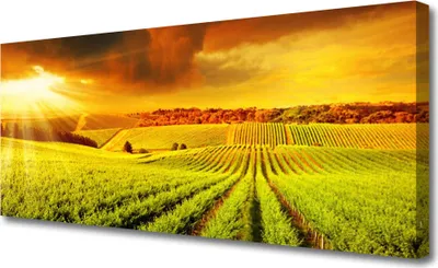 Produktbild von Tulup Leinwand-Bilder 125x50 Wandbild Canvas Kunstdruck Sonnenuntergang Landschaft