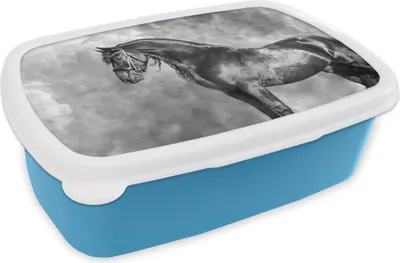 Produktbild von KitchenYeah® Lunchbox Brotzeit Brotdose 17x11 cm Friese - Pferde - Porträt - Schwarz - Weiß Kinder Brotzeitdose - Lunch - Kunststoff  - Brotbüchse - Sandwichbox - Lunchbox für Kinder