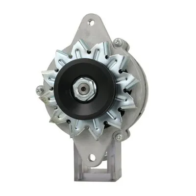Produktbild von BV PSH 195.002.030.050 Lichtmaschine Generator LiMa 30A 12V