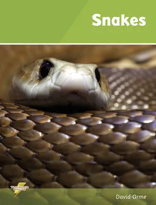 Productafbeelding van Snakes