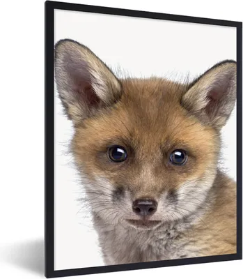 Produktbild von MuchoWow® Gerahmtes Poster Fuchs - Tiere - Jungtier - Jungen - Mädchen - Kind 60x80 cm - Poster mit Schwarzem Bilderrahmen Wandposter Rahmen Foto Bilder - Premium - Wanddeko Wohnzimmer