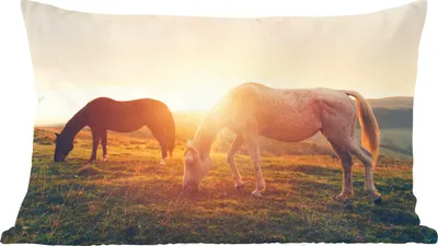Produktbild von MuchoWow® Zierkissen Sofakissen Wohnzimmer Dekokissen 60x40 cm Pferde - Sonne - Tiere - Kopfkissen - Polster mit Foto