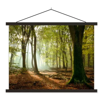 Produktbild von MuchoWow® Textilposter Wald - Sonne - Jahreszeiten - Landschaft 40x30 cm mit schwarzem Rahmen - Dekorationen