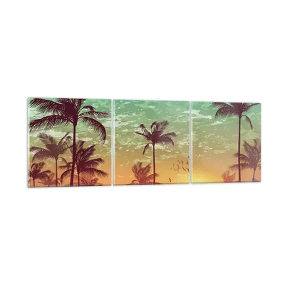 Produktbild von Bilder auf glas - Horizont Küste Kokosnuss Himmel - 120x40cm - Glasbilder - Wandbilder - Kunstdruck - zum Aufhängen bereit - Wanddekoration aus Glas - Glas Bilder - Wandbild auf Glas - GCA120x40-3121