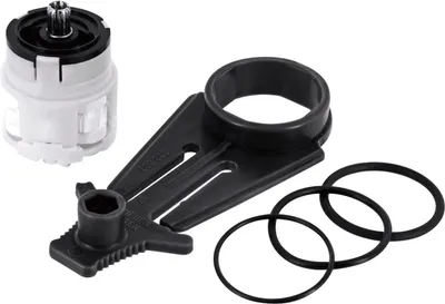 A faucet cartridge and associated parts are laid out on a white background.