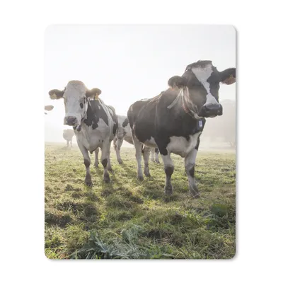 Produktbild von MuchoWow® Mauspad Mousepad Kühe - Licht - Gras - Tiere 30x40 cm - Mousepads - Maus Mat - Pad - Mausunterlage - Mausmatten